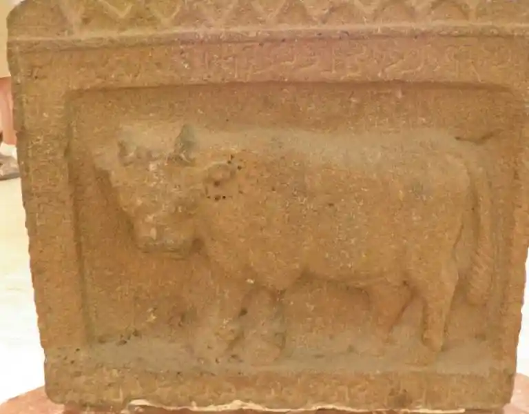 Bull engraved on clay stone with zigzag borders